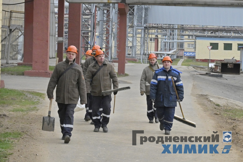_DSC5319_cr.jpg