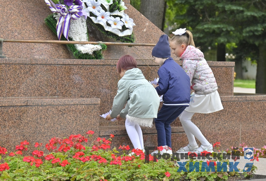 _DSC9206_cr.jpg