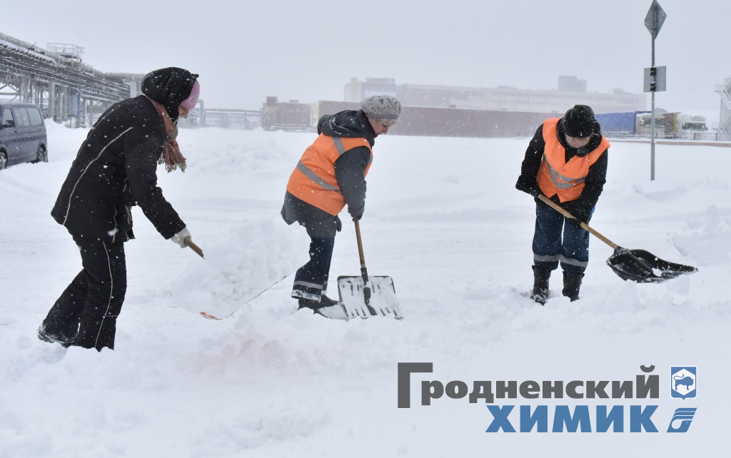 _DSC8288_cr.jpg