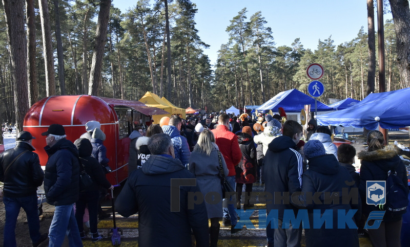 _DSC0087_cr.jpg