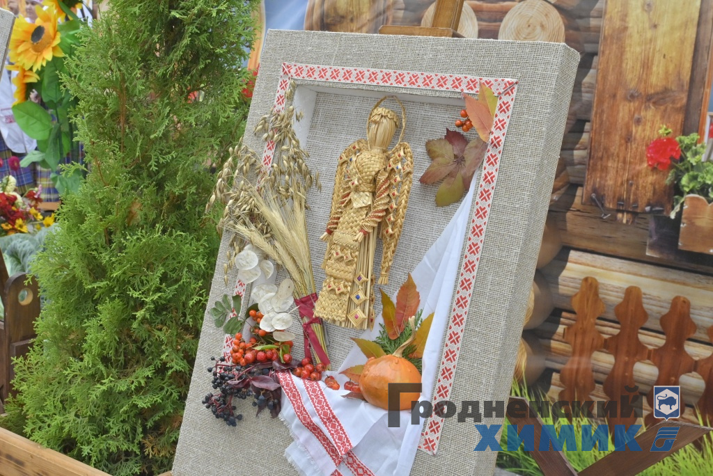 Областные «Дожинки» 2023 года прошли в Зельве