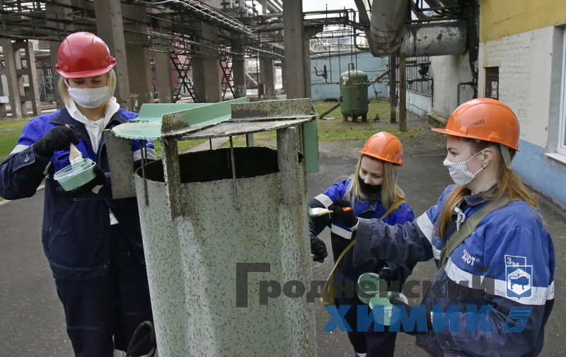 _DSC1455_cr.jpg