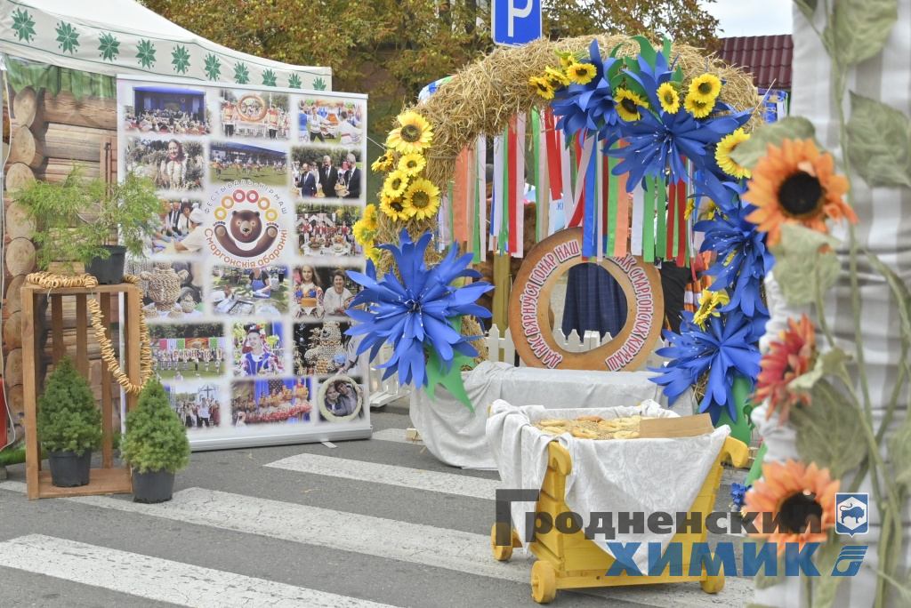 Областные «Дожинки» 2023 года прошли в Зельве