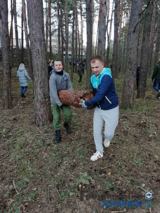 изображение_viber_2022-04-16_09-56-43-791.jpg