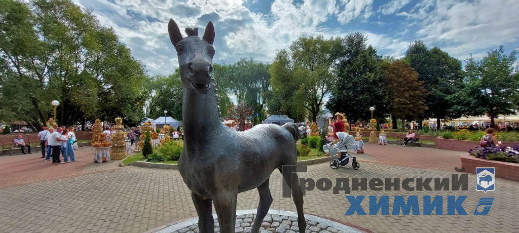 Областные «Дожинки» 2023 года прошли в Зельве