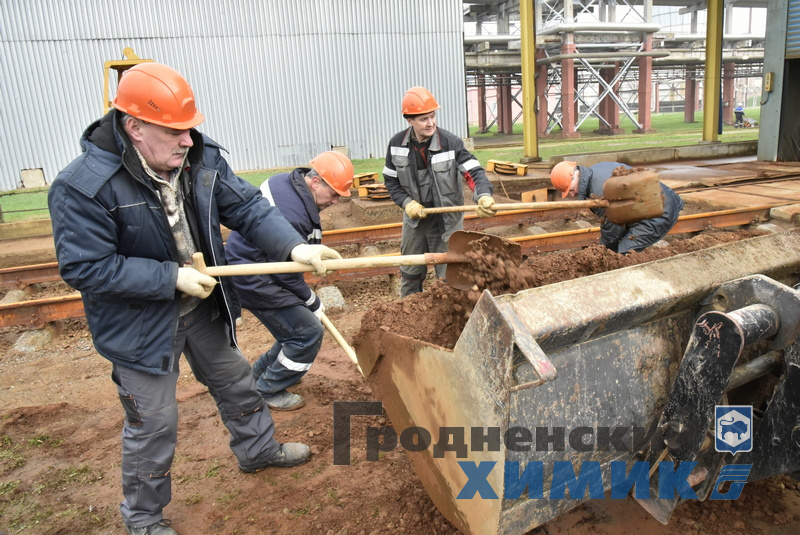 _DSC1352_cr.jpg