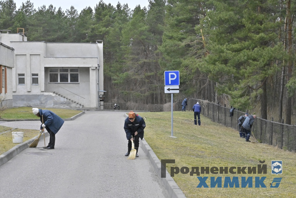 _DSC5529_cr.jpg
