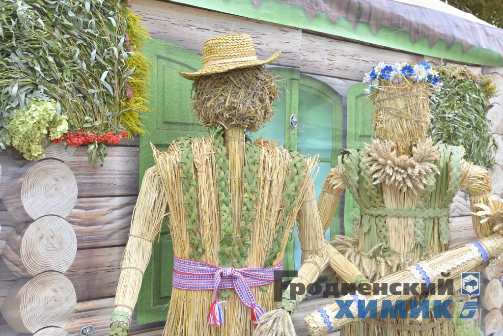 Областные «Дожинки» 2023 года прошли в Зельве