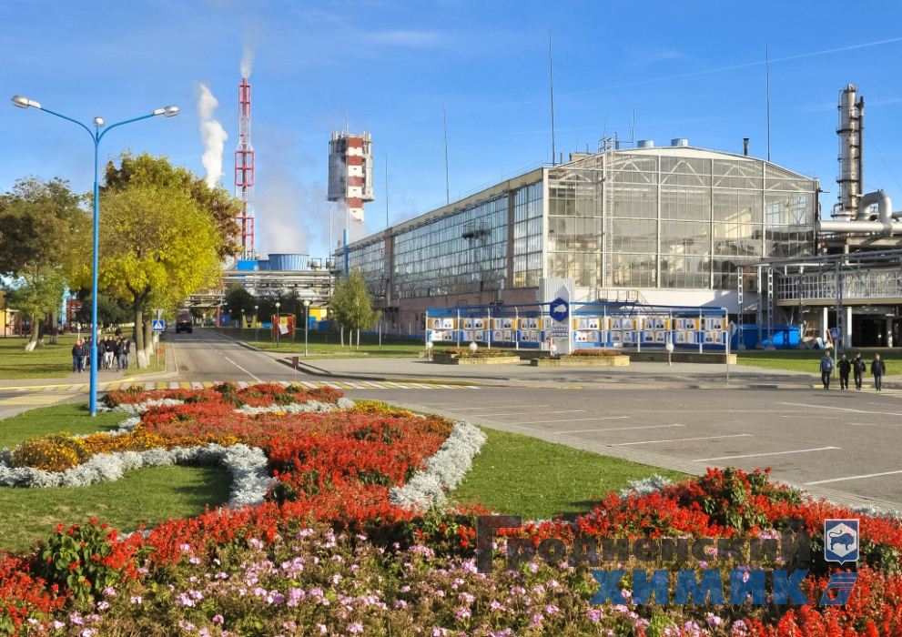 81.jpg