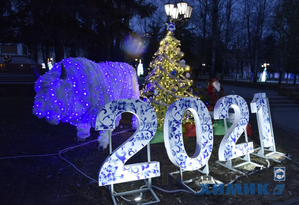 _DSC6486_cr.jpg