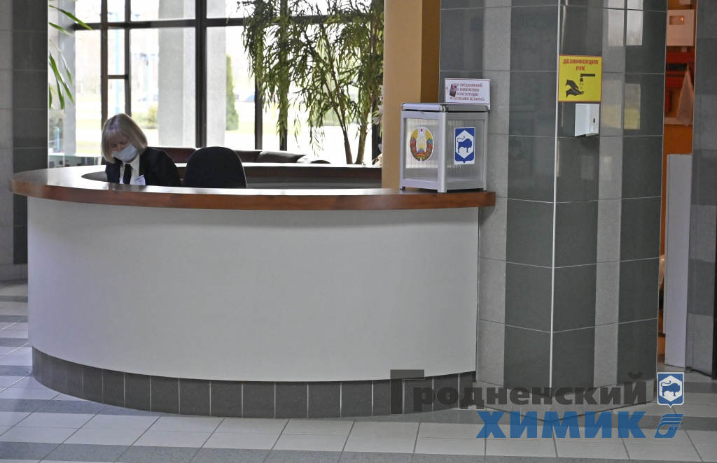 _DSC2386_cr.jpg