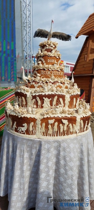 Областные «Дожинки» 2023 года прошли в Зельве