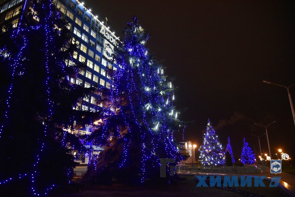 _DSC6268_cr.jpg
