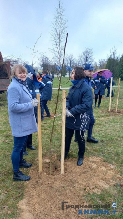 Рядом с филиалом «Завод Химволокно» обновился сквер
