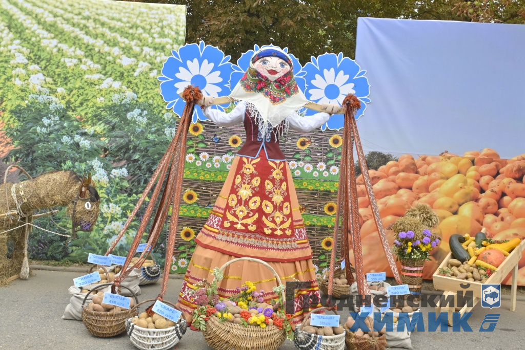 Областные «Дожинки» 2023 года прошли в Зельве