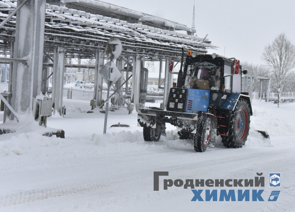 _DSC8296_cr.jpg