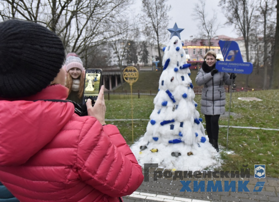 _DSC2116_cr.jpg