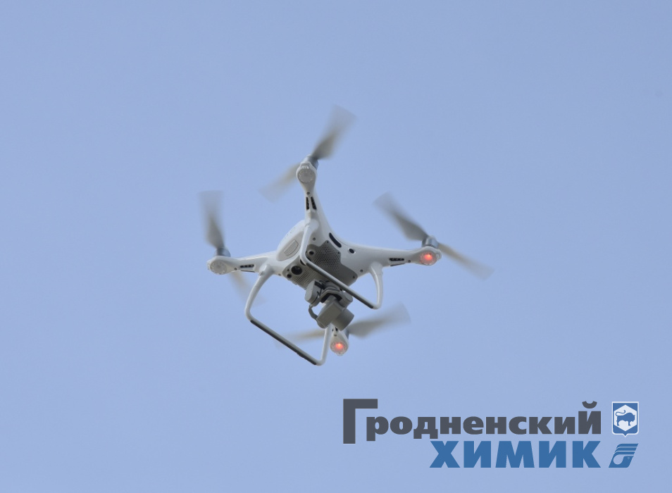 _DSC0908_cr.jpg