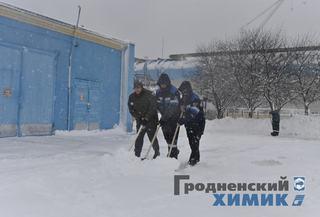 _DSC8171_cr.jpg