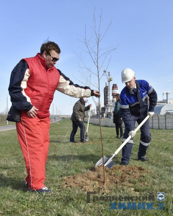 _DSC0780_cr.jpg