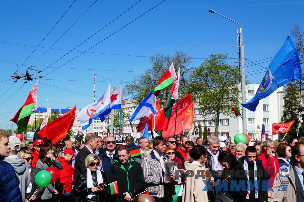P1030151.JPG