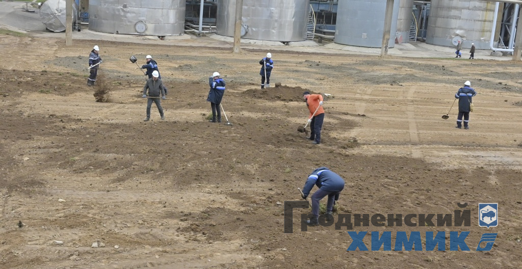 _DSC5324_cr.jpg