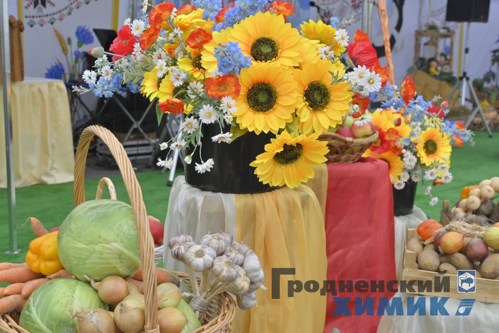 Областные «Дожинки» 2023 года прошли в Зельве