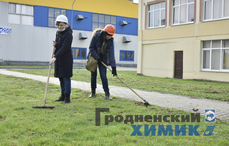 _DSC1598_cr.jpg