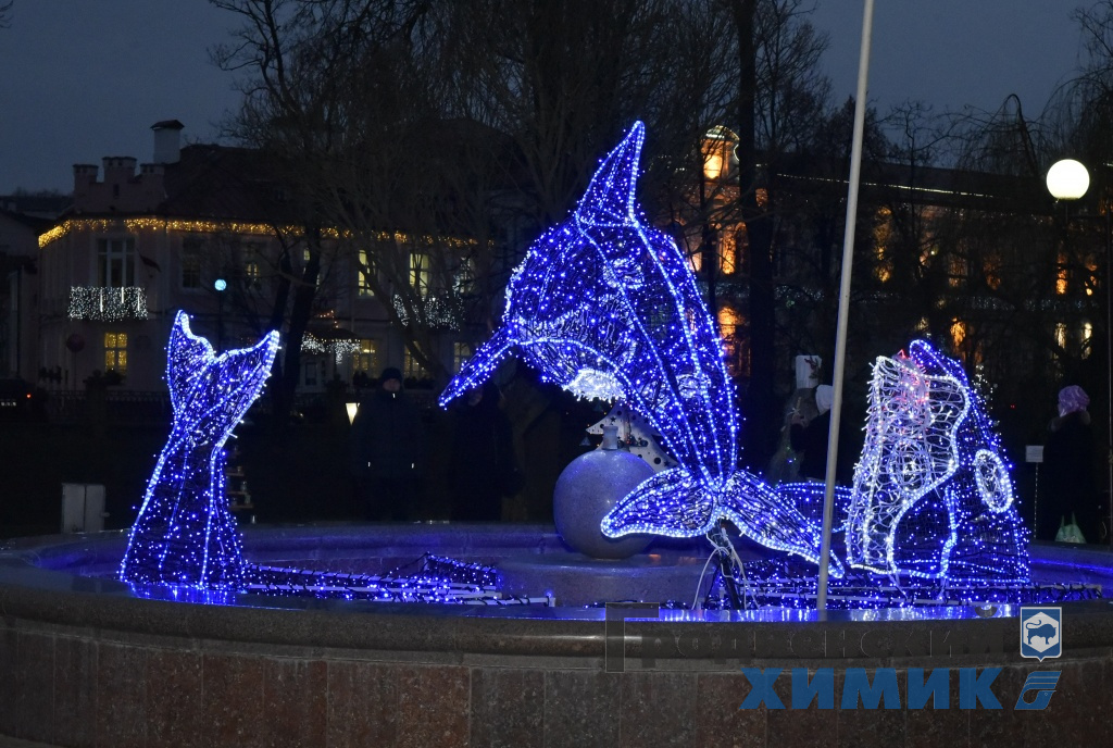_DSC6453_cr.jpg