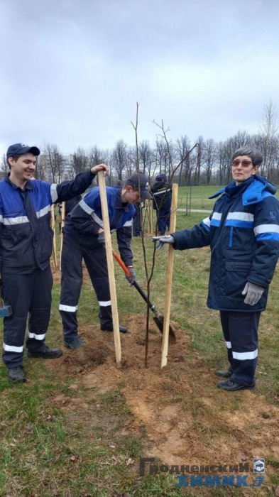 Рядом с филиалом «Завод Химволокно» обновился сквер
