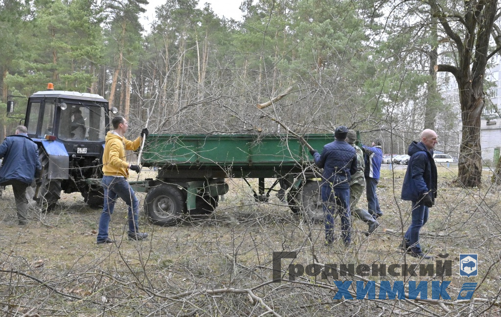 _DSC5512_cr.jpg