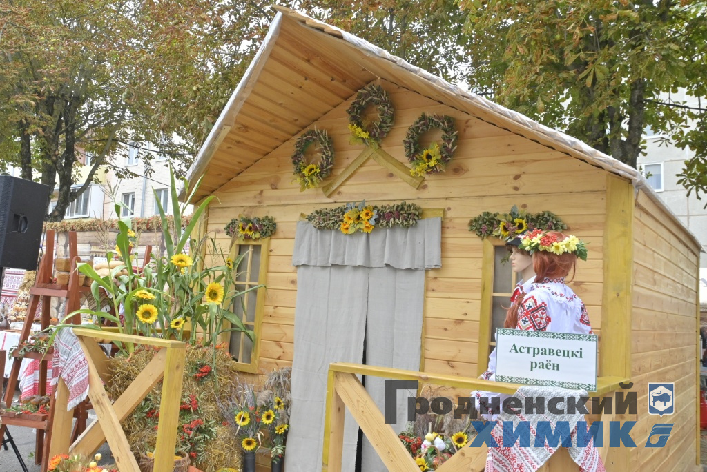 Областные «Дожинки» 2023 года прошли в Зельве