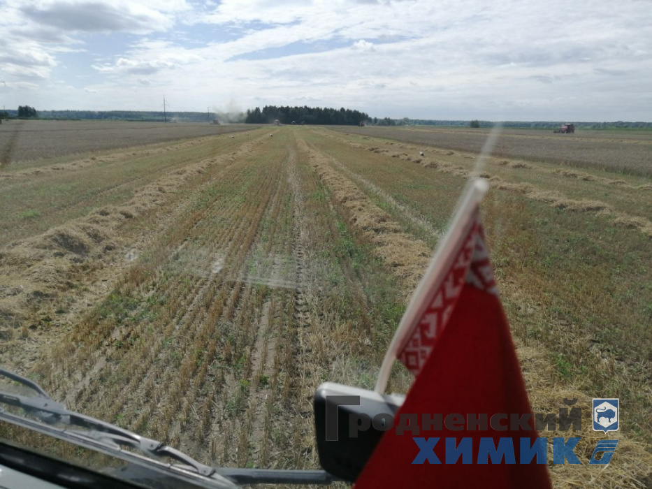 Уборочная кампания в СУП «Лаздуны-Агро»