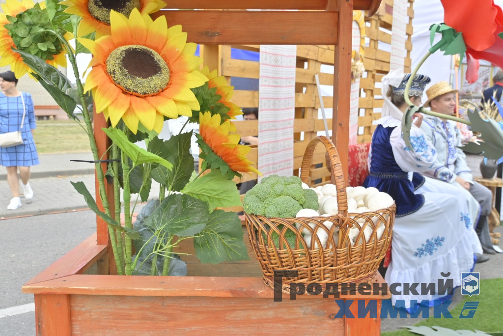 Областные «Дожинки» 2023 года прошли в Зельве