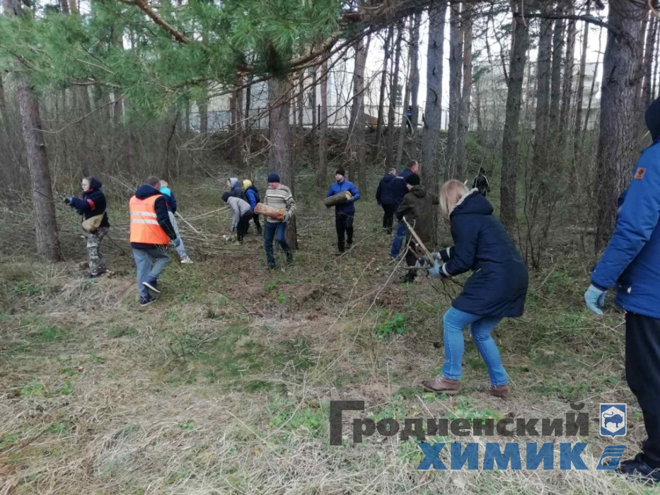 изображение_viber_2022-04-16_09-56-45-382.jpg