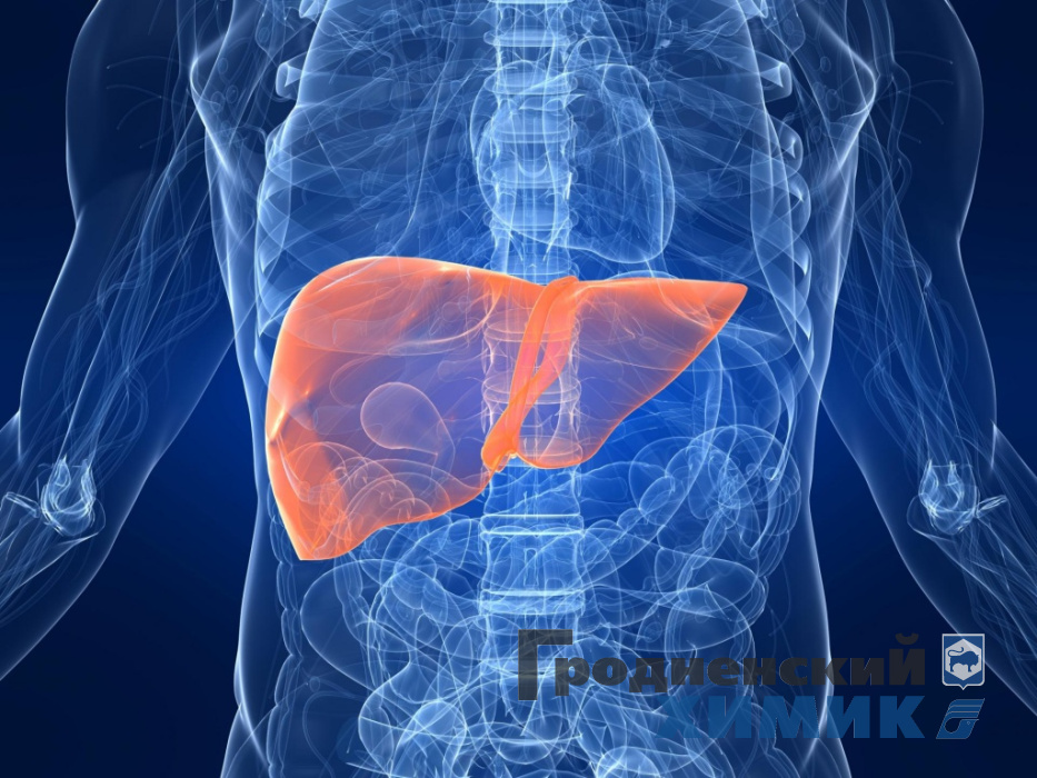 pervye-priznaki-cirroza-pecheni-1.jpg