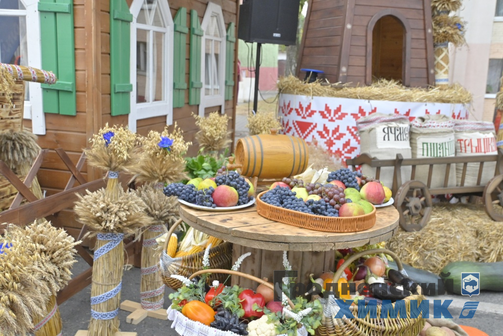 Областные «Дожинки» 2023 года прошли в Зельве