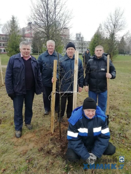 Рядом с филиалом «Завод Химволокно» обновился сквер