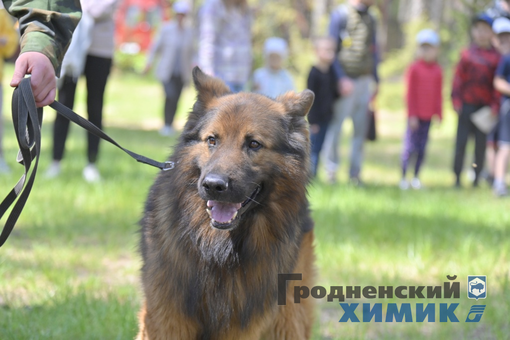 День химика отметили на заводской турбазе