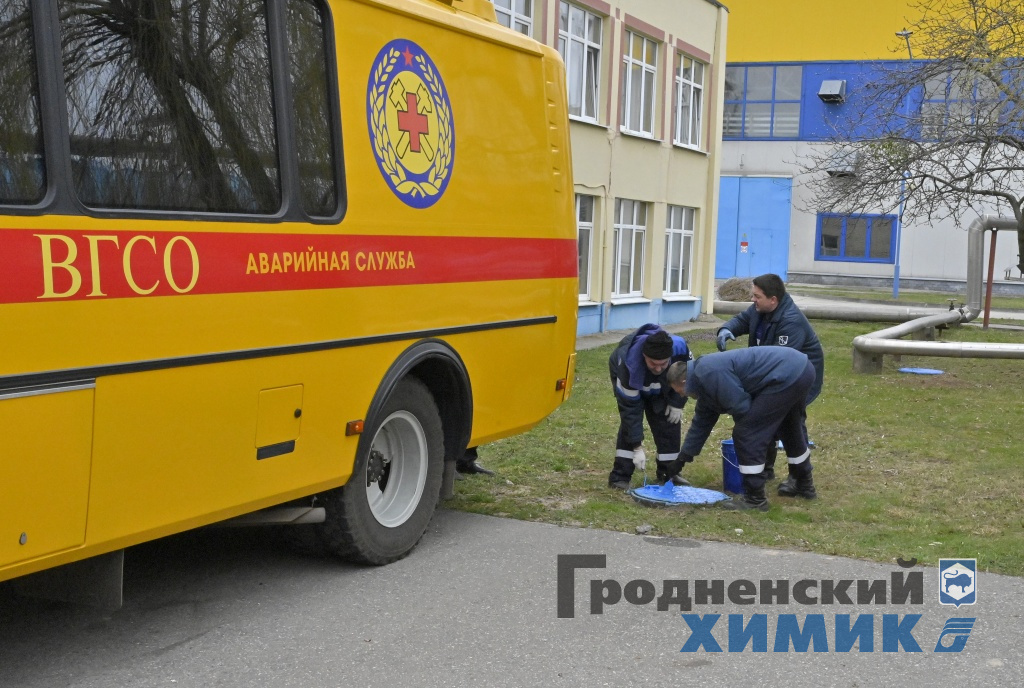 _DSC5464_cr.jpg
