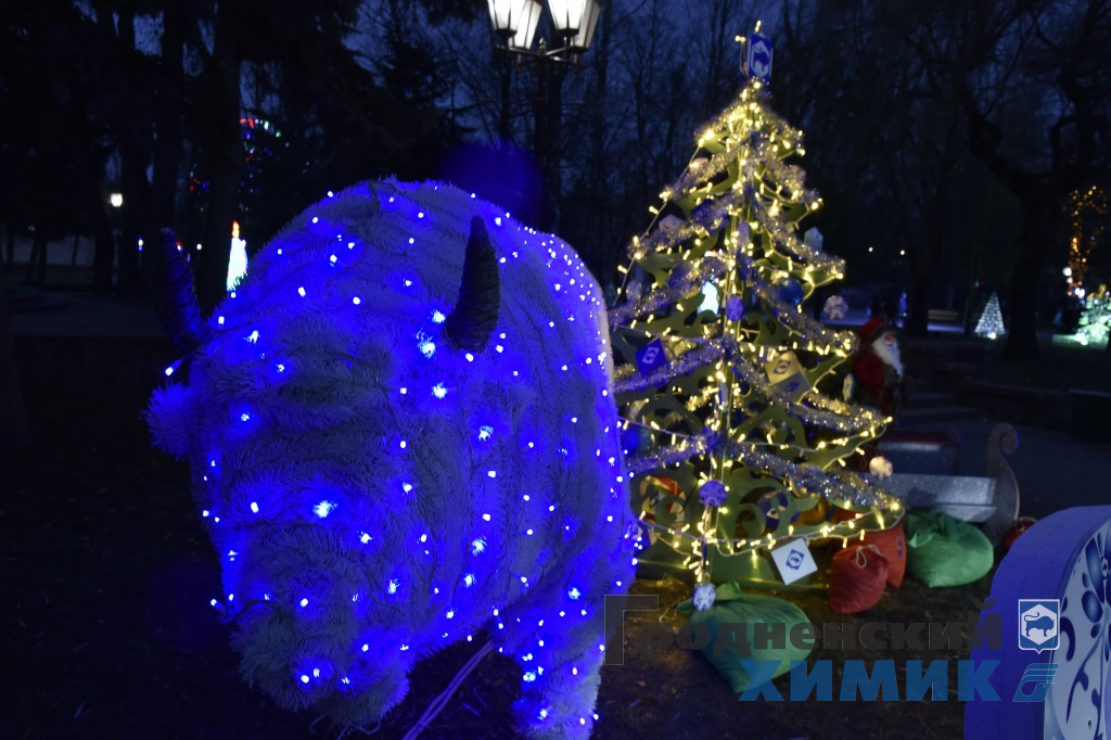 _DSC6484_cr.jpg