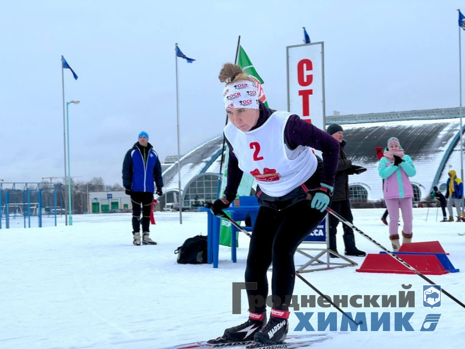 Лыжные гонки