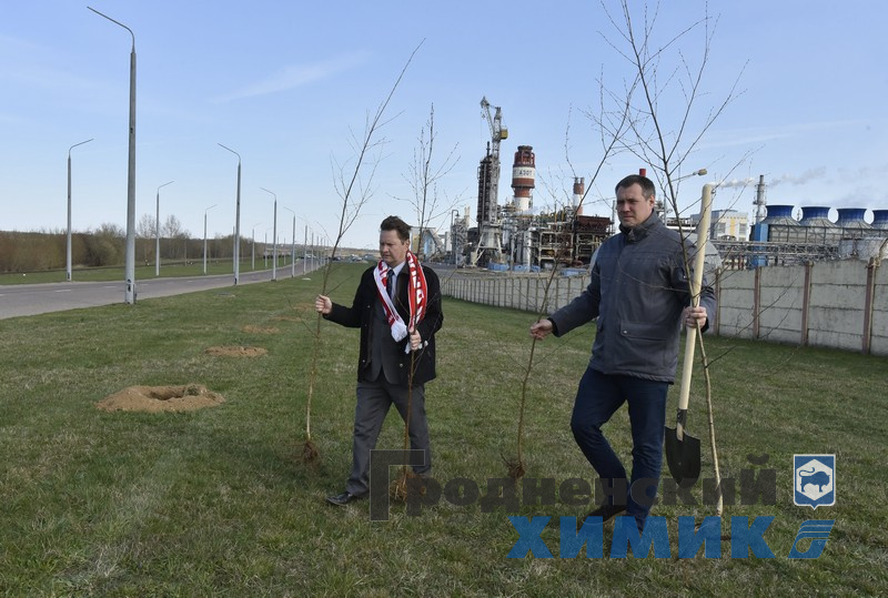 _DSC0752_cr.jpg