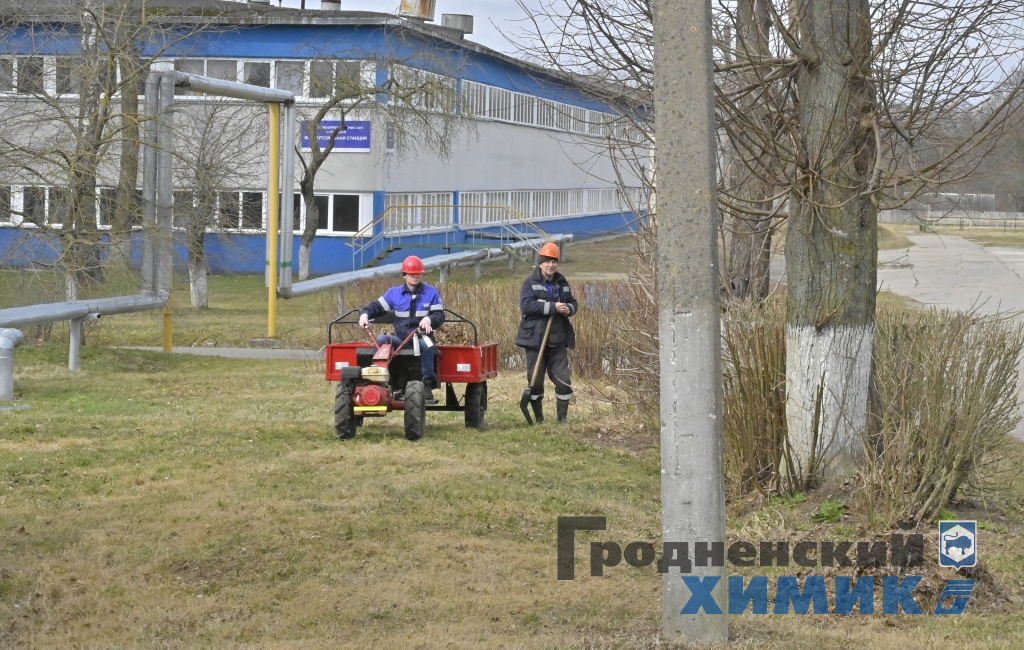 _sybbotnicDSC5549_cr.jpg