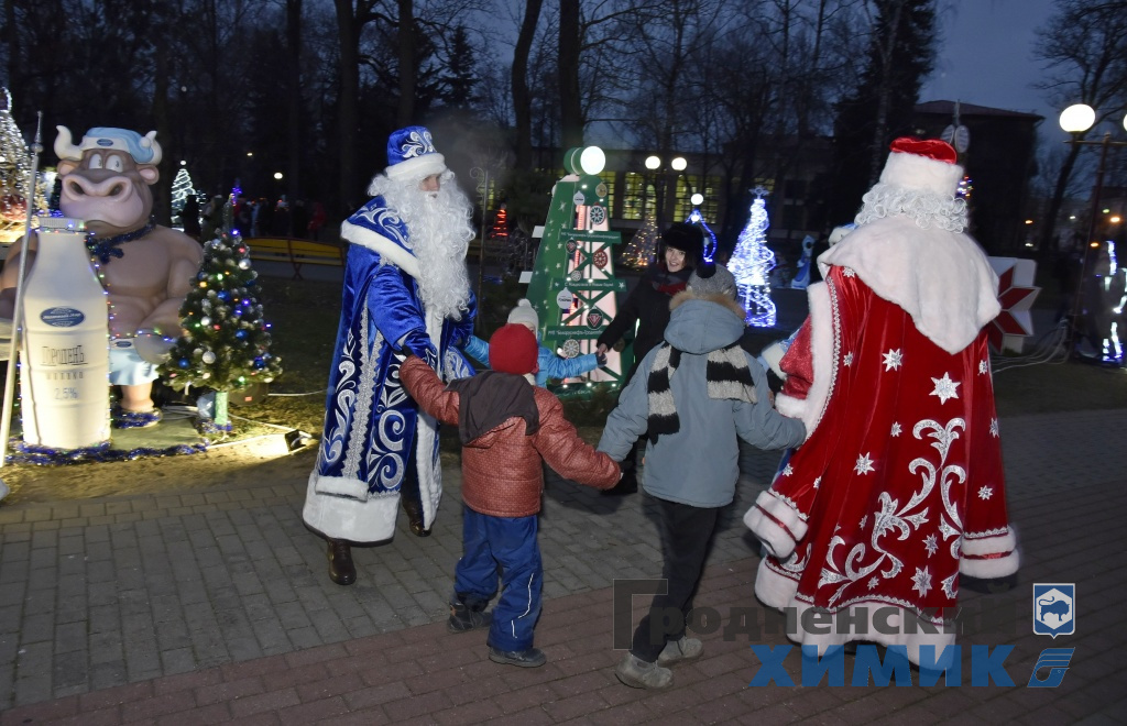 _DSC6492_cr.jpg