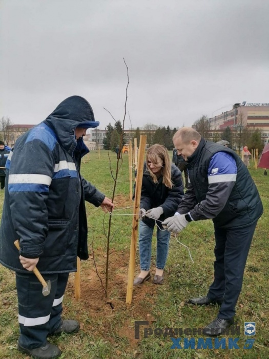 Рядом с филиалом «Завод Химволокно» обновился сквер