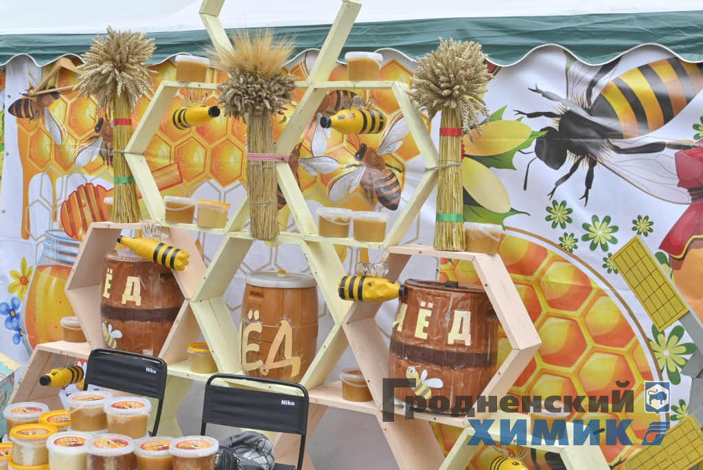 Областные «Дожинки» 2023 года прошли в Зельве