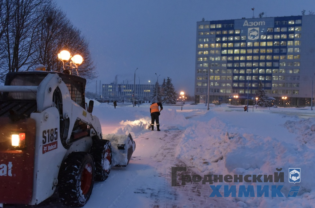 _DSC8119_cr.jpg