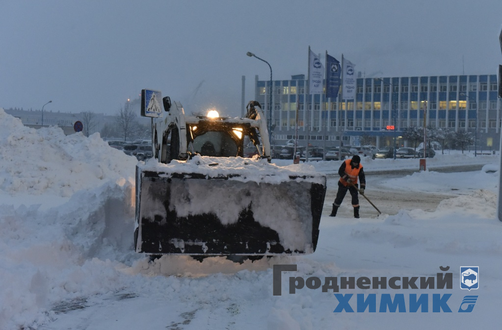 _DSC8130_cr.jpg