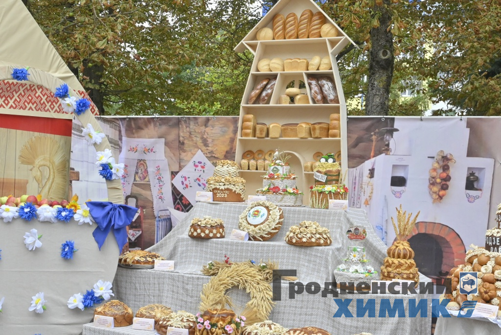 Областные «Дожинки» 2023 года прошли в Зельве